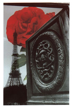 Composition Tour Eiffel - Porte - Rose rouge